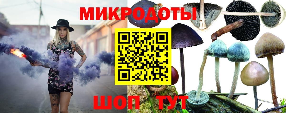 Галлюциногенные грибы GOLDEN TEACHER Прохладный