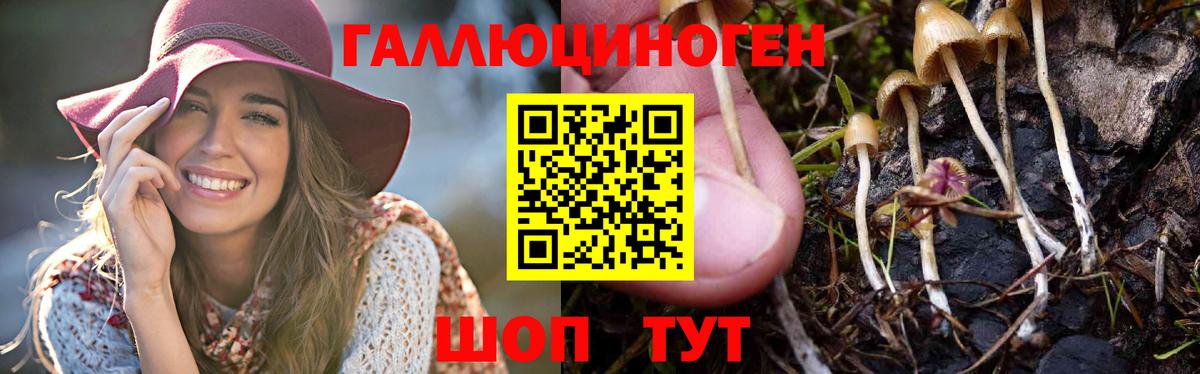 Прохладный  Галлюциногенные грибы ЛСД  Вход с VPN  Псилоцибиновые грибы мухоморы 